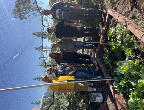 MITA Builds a Garden Border with Nuevo High School Students